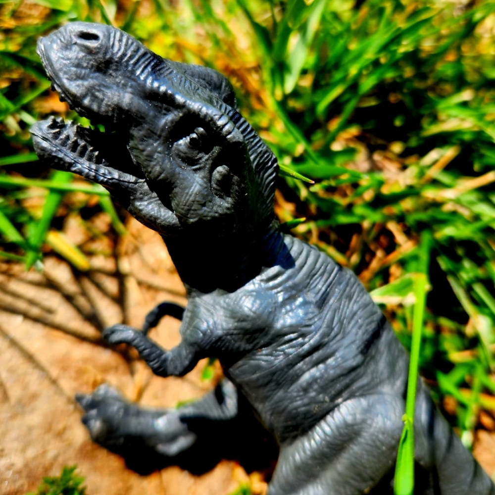 Tyrannosaurus Rex T-Rex gray plastic 2.5in x 7 in. Realistic.